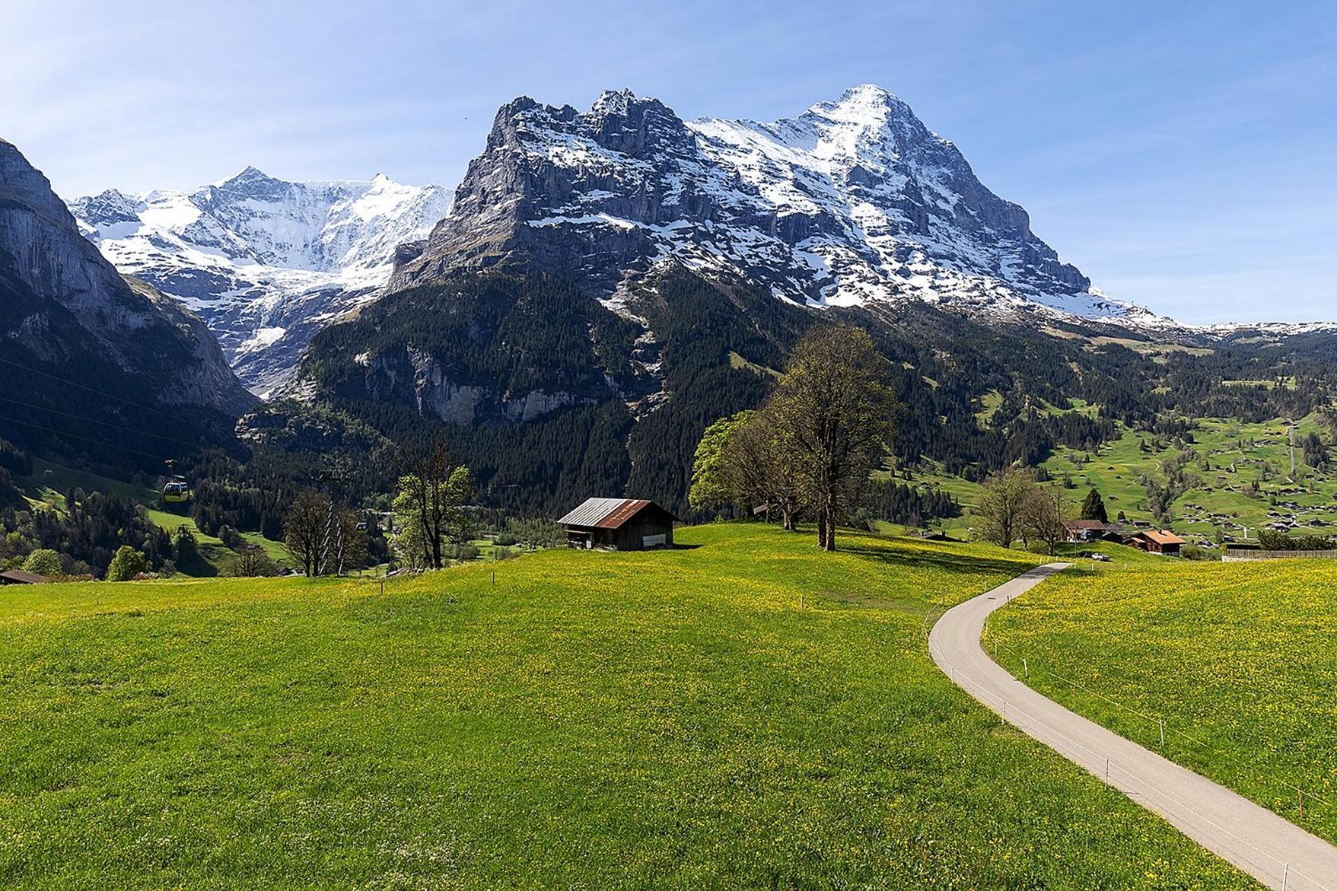 Das BODMI Grindelwald Exterior foto