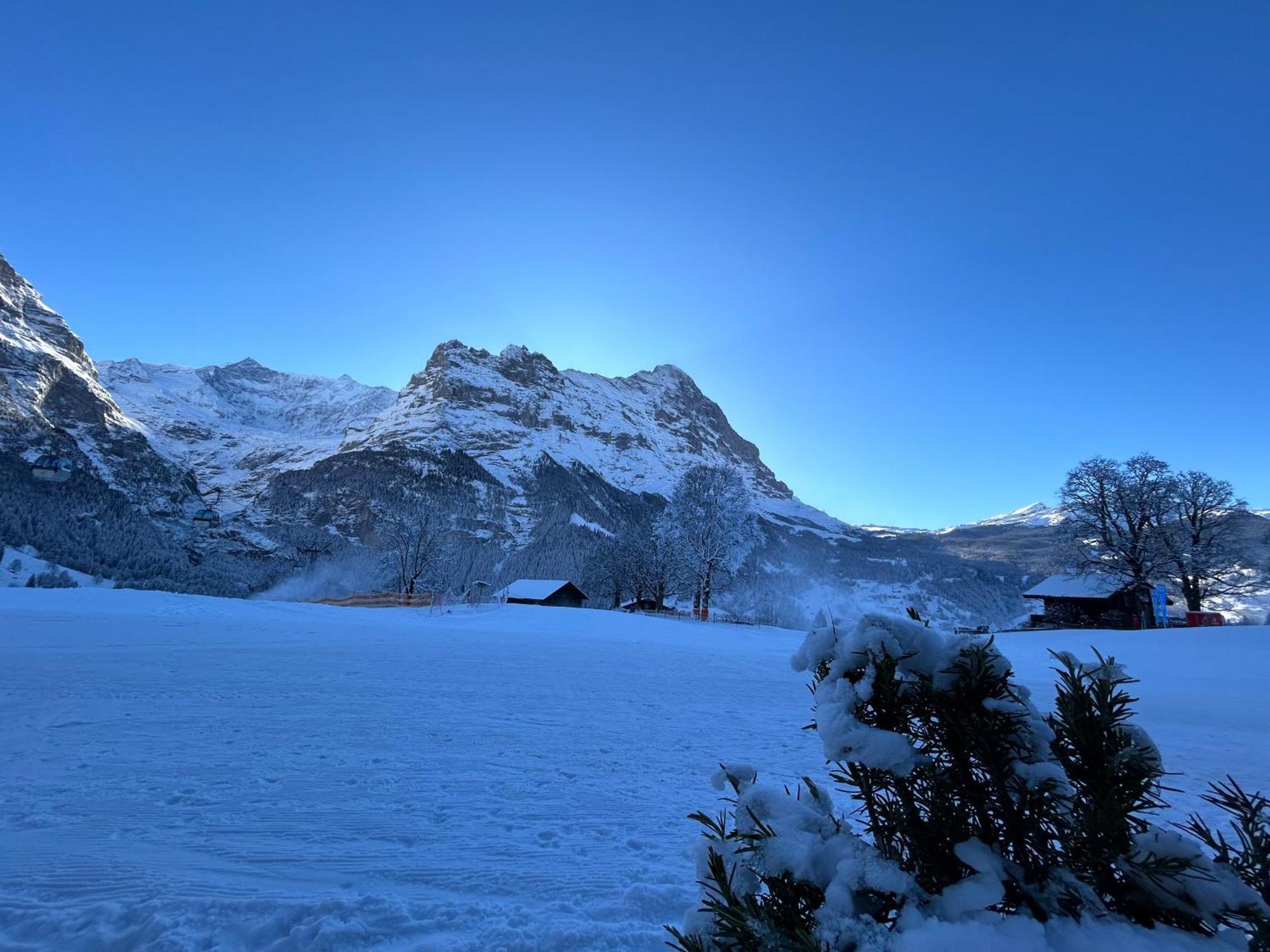 Das BODMI Grindelwald Exterior foto