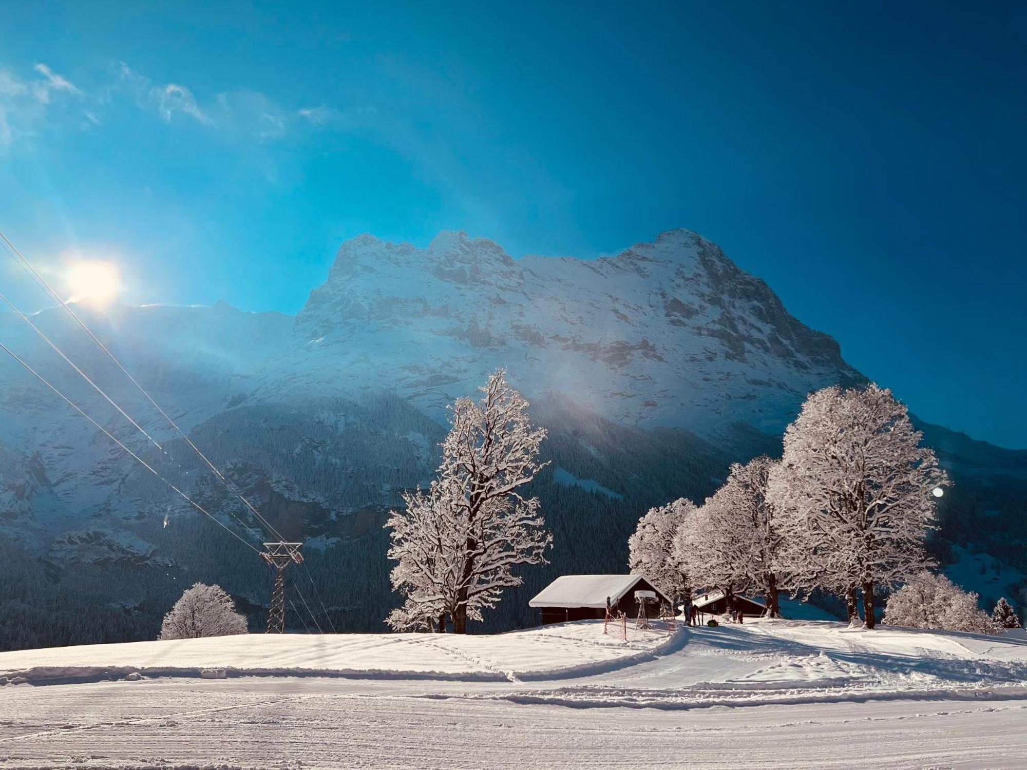 Das BODMI Grindelwald Exterior foto