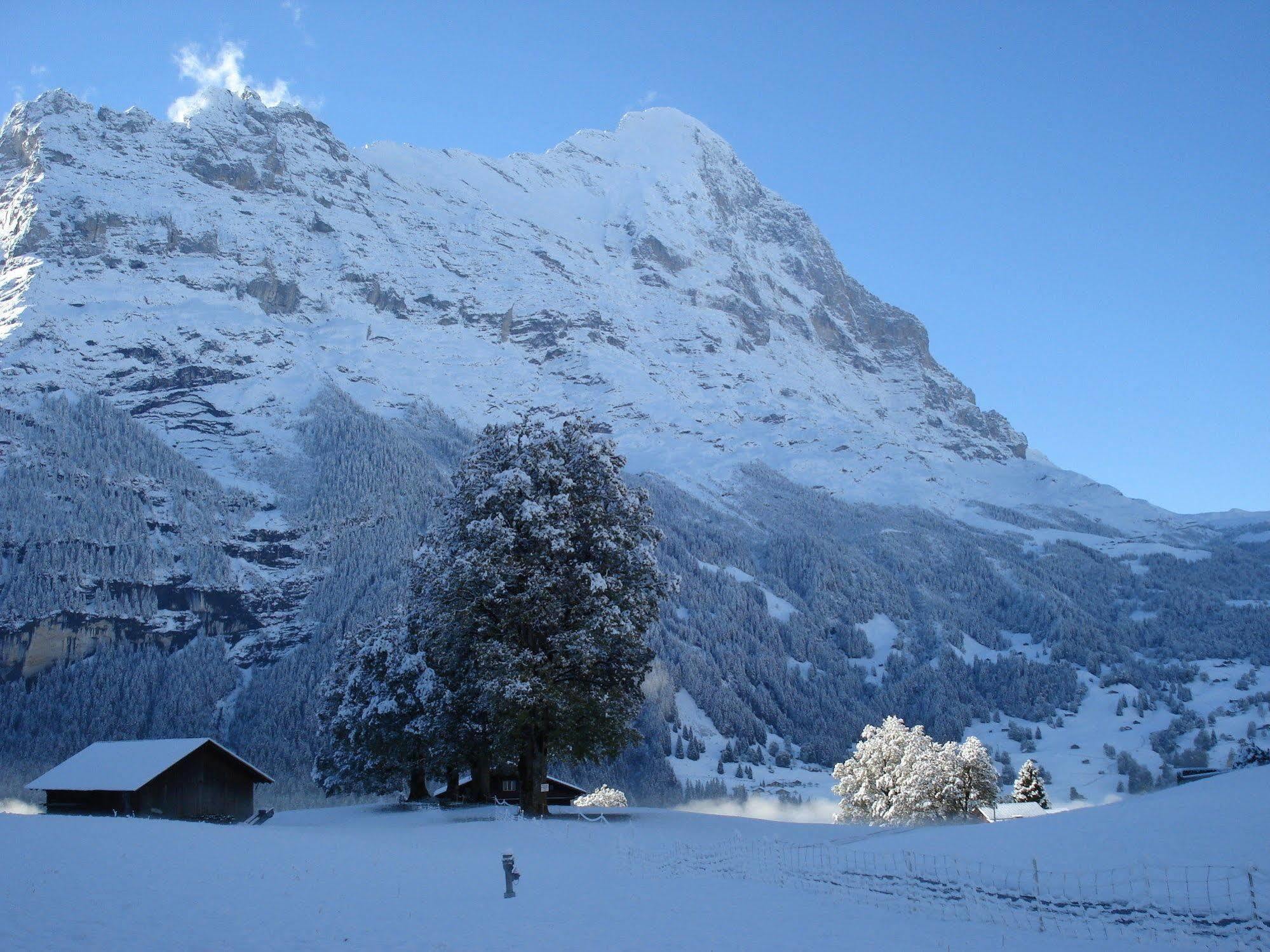 Das BODMI Grindelwald Exterior foto